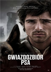 GWIAZDOZBIÓR PSA / napisy