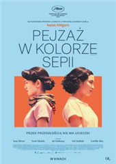 DKF PEJZAŻ W KOLORZE SEPII / napisy